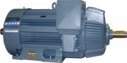 Электродвигатель 2ARRK 314-8 110 кВт
