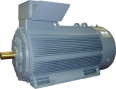 Электродвигатель RH 450 S8 418 kW