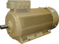 Электродвигатель RH 500 L6